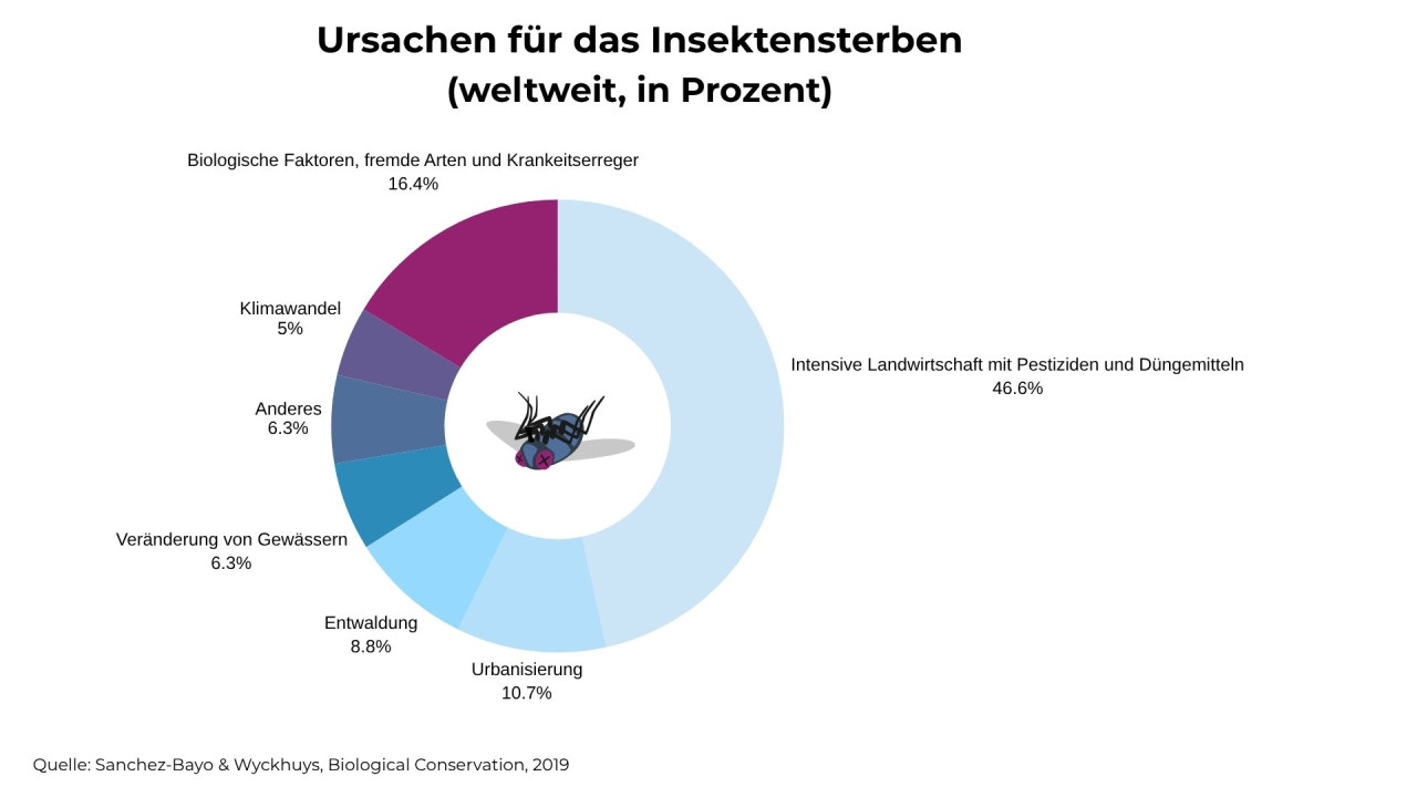 Diagramm: Ursachen Insektensterben weltweit in Prozent